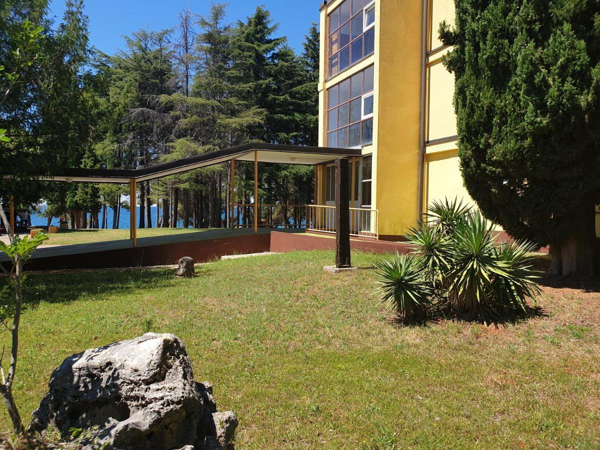 Youth Hostel Pinesta Novigrad Istria Esterno foto